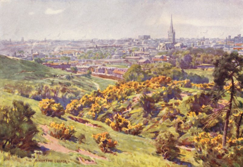 نورويتش من Mousehold Heath ، نورفولك بواسطة ألفريد هيتون كوبر