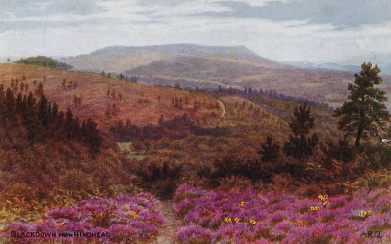 التراجع عن Hindhead بواسطة ألفريد روبرت كوينتون