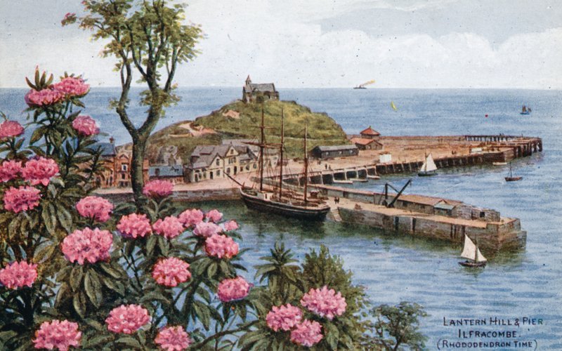 Lantern Hill and Pier ، Ilfracombe ، (Rhododendron Time) بواسطة ألفريد روبرت كوينتون