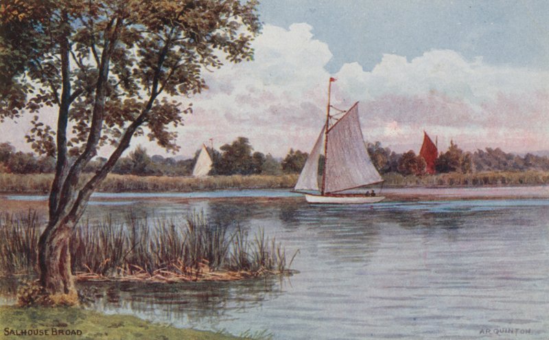Salhouse Broad بواسطة ألفريد روبرت كوينتون