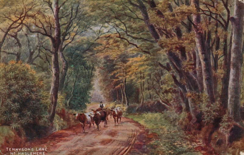 Tennyson&39;s Lane قرب Haslemere بواسطة ألفريد روبرت كوينتون