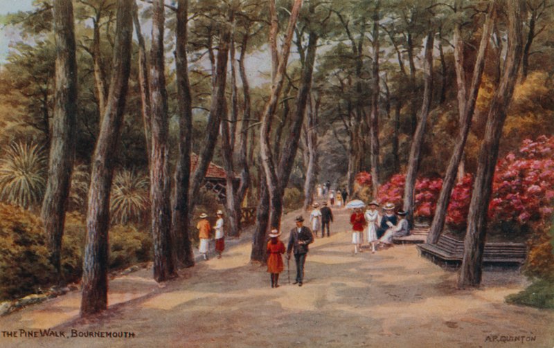 The Pine Walk ، بورنموث بواسطة ألفريد روبرت كوينتون