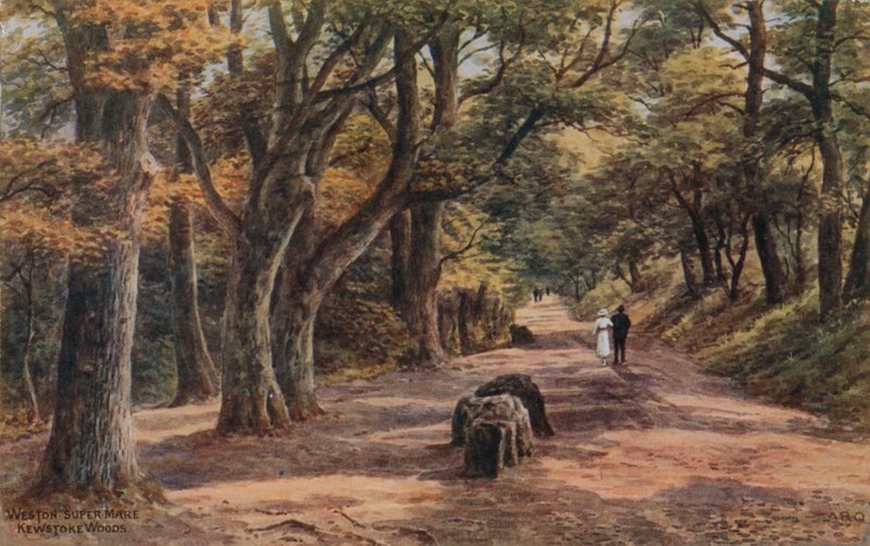 ويستون سوبر مير ، Kewstoke Woods بواسطة ألفريد روبرت كوينتون