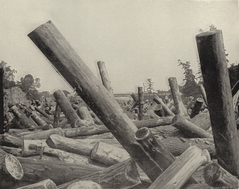 A Log Jam في نهر St Croix ، ويسكونسن (b / w photo) بواسطة المصور الأمريكي (بعد)