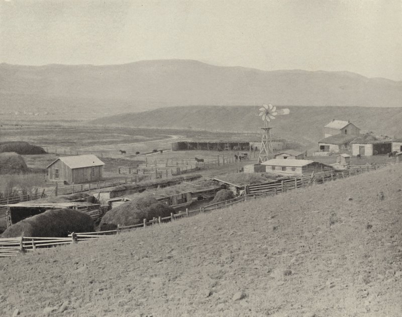 مزرعة الخيول مونتانا (صورة b / w) بواسطة المصور الأمريكي (بعد)