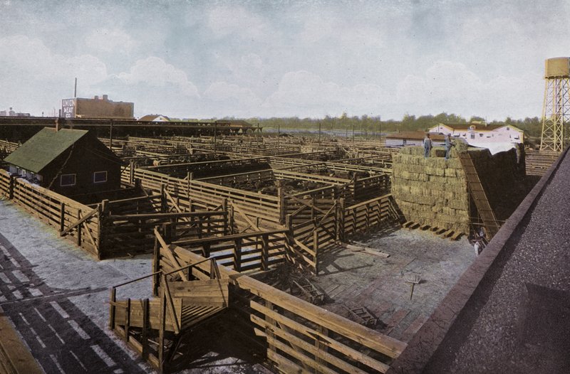أوريغون: Portland Union Stock Yards (صورة) بواسطة المصور الأمريكي (بعد)