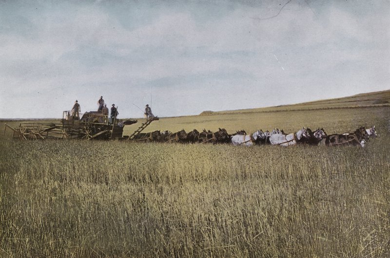 Oregon: Threshing in Eastern Oregon (photo) بواسطة المصور الأمريكي (بعد)