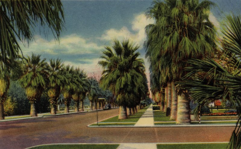 فينيكس ، أريزونا: North Central Avenue (صورة) بواسطة المصور الأمريكي (بعد)