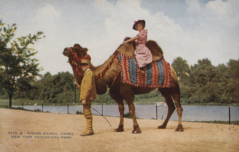  بواسطة مصور أمريكي