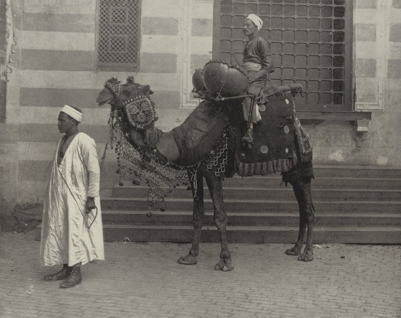 توم توم المصري بواسطة مصور أمريكي