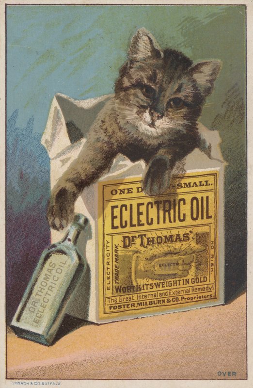 إعلان عن دكتور توماس "Eclectric Oil بواسطة المدرسة الأمريكية