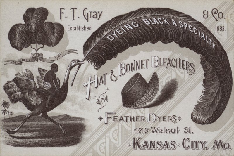 Advertisement for F T Gray, hat and bonnet bleachers and feather dyers, Kansas City, Missouri, USA (litho) بواسطة المدرسة الأمريكية