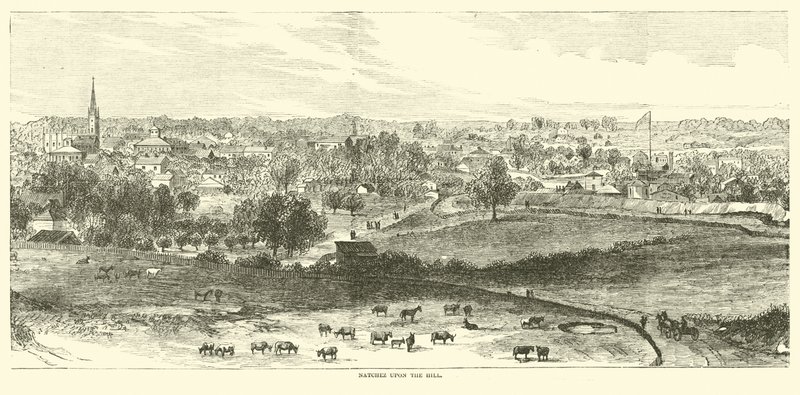 ناتشيز على التل ، مايو 1862 بواسطة المدرسة الأمريكية