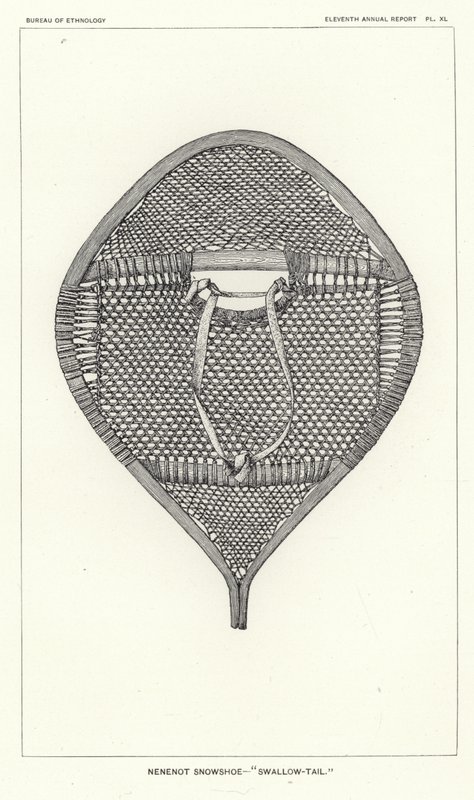 nenenot Snowshoe - الذيل السنونو بواسطة المدرسة الأمريكية