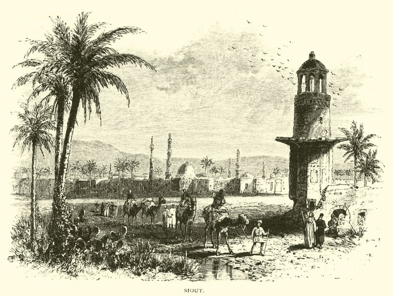 سيوت بواسطة المدرسة الأمريكية