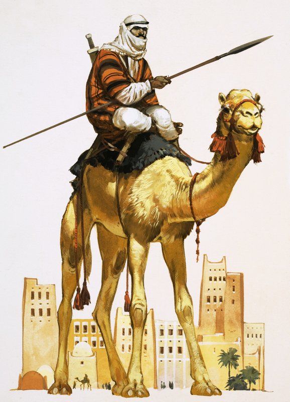  بواسطة أنجوس ماكبرايد