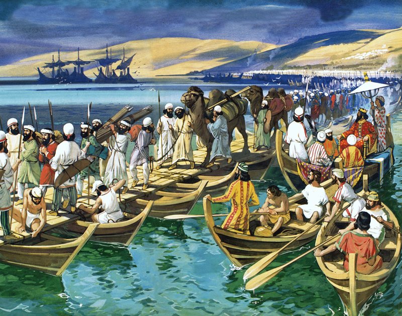  بواسطة أنجوس ماكبرايد
