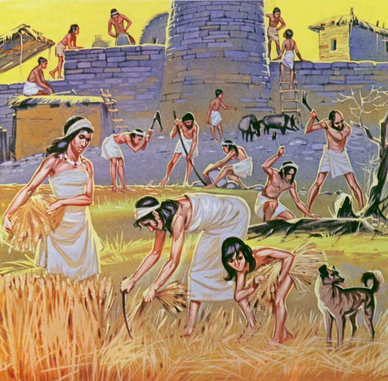  بواسطة أنجوس ماكبرايد