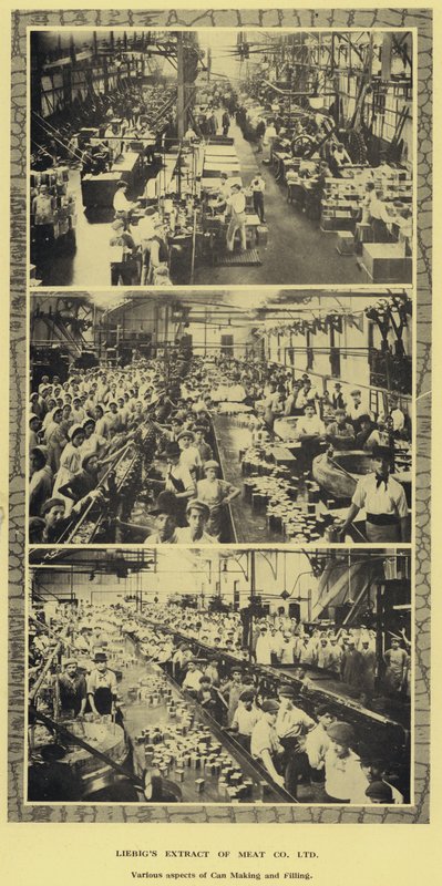 Can making and filling, factory of the Liebig Extract of Meat Company, Ltd, Argentina (b/w photo) بواسطة مصور أرجنتيني