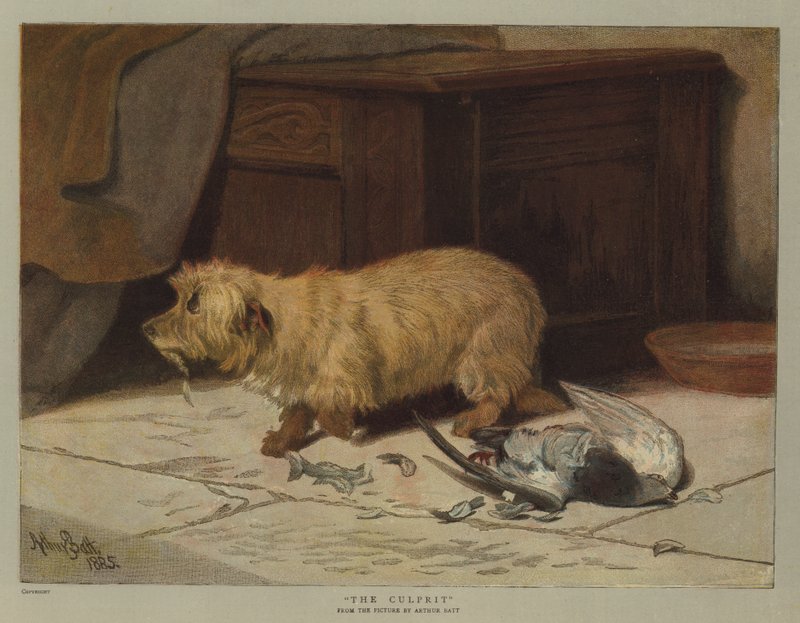 الجاني (chromolitho) بواسطة آرثر بات