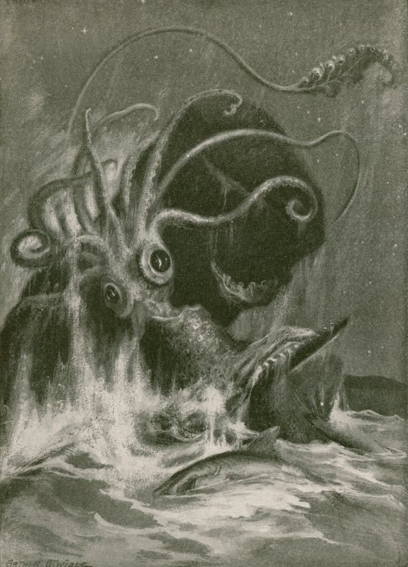 Kraken مقابل حوت العنبر بواسطة آرثر تويدل