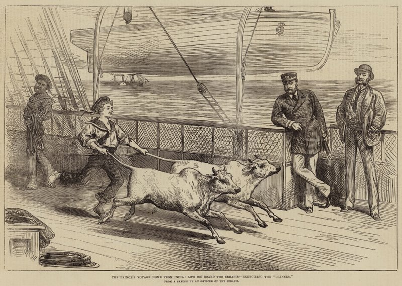 The Prince&39;s Voyage Home from India، Life on Board of Serapis، ممارسة الجاينز بواسطة آرثر هوبكنز