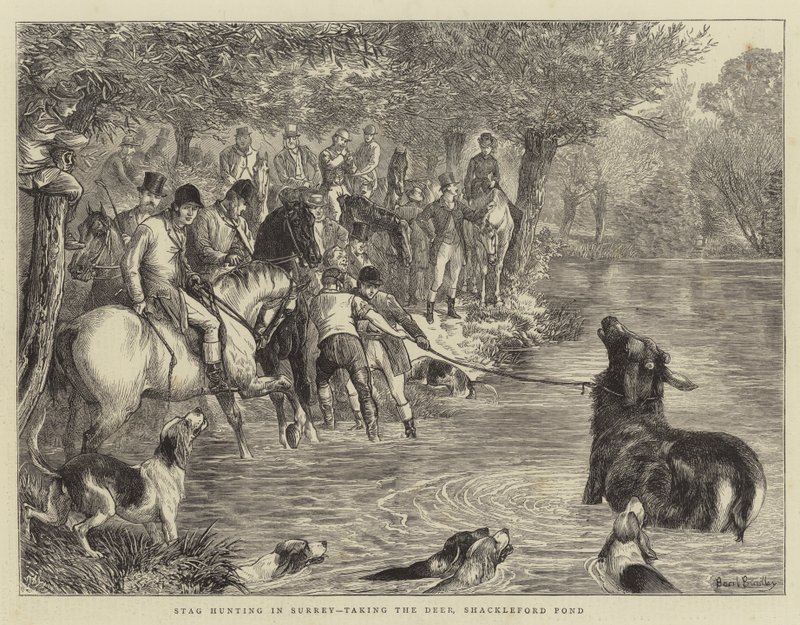 صيد الأيل في Surrey ، مع أخذ الغزلان ، Shackleford Pond بواسطة باسل برادلي