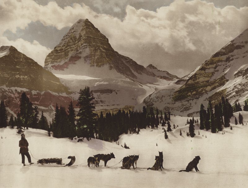 جبل Assiniboine (صورة ملونة) بواسطة بايرون هيل هارمون