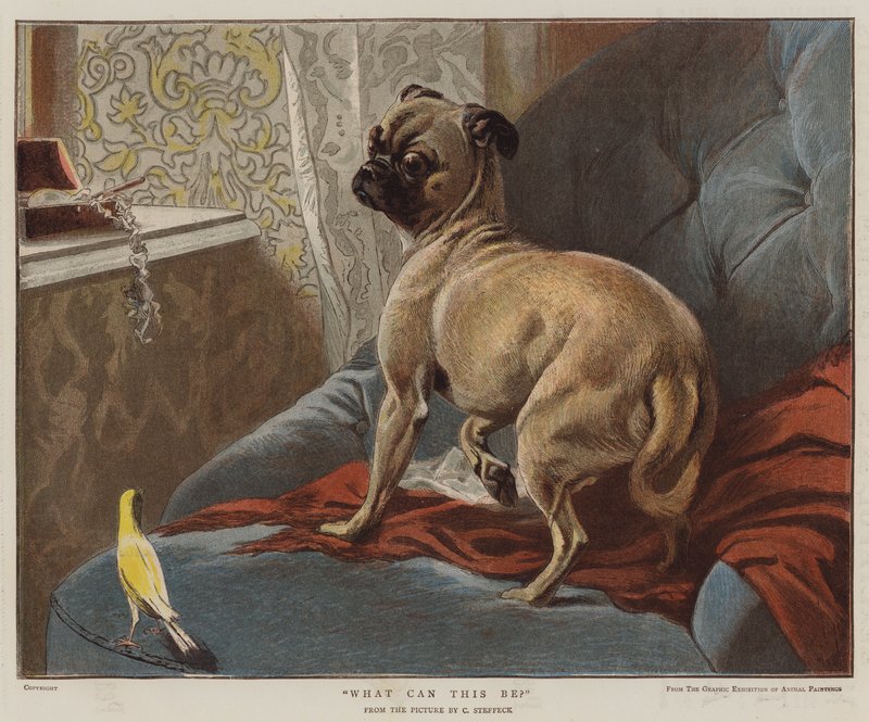 ماذا يمكن أن يكون (chromolitho) بواسطة كارل كونستانتين ستيفيك