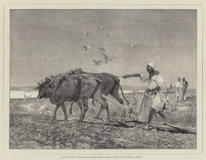 مصر كما هي ، يحرث في مصر السفلى بواسطة تشارلز أوغست لويي