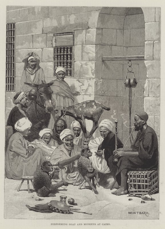 أداء الماعز والقرود في القاهرة بواسطة تشارلز أوغست لويي
