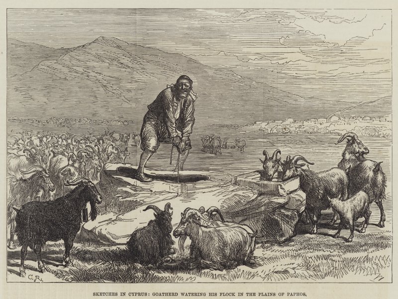 اسكتشات في قبرص ، سقيفة Goatherd سقي قطيعه في سهول بافوس بواسطة السير جون تشارلز روبنسون