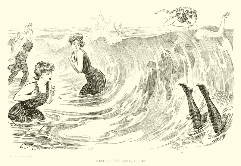 Illustration for The Social Ladder (engraving) بواسطة تشارلز دانا جيبسون