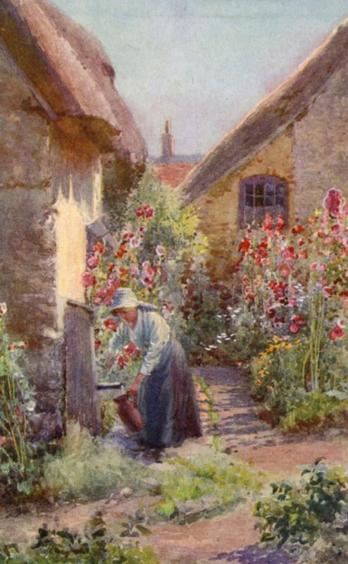 Hollyhocks in a Cottage Garden (لون ليثو) بواسطة زهرة تشارلز إدوين