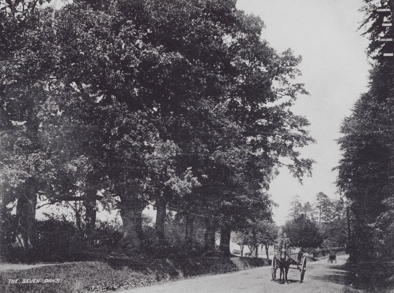 The Seven Oaks (صورة b / w) بواسطة تشارلز إسينهيج كورك