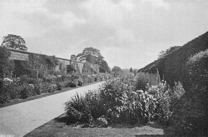 Herbaceous Borders (b/w photo) بواسطة تشارلز لاثام