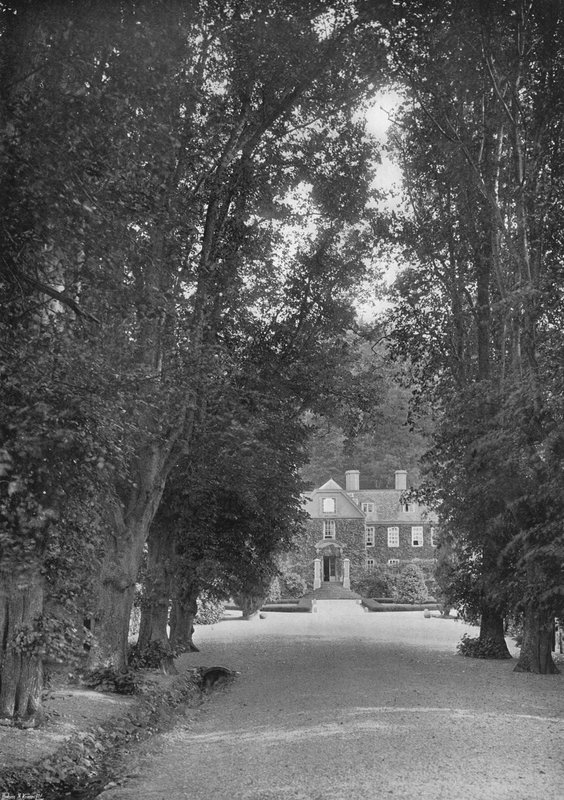The Avenue (b/w photo) بواسطة تشارلز لاثام