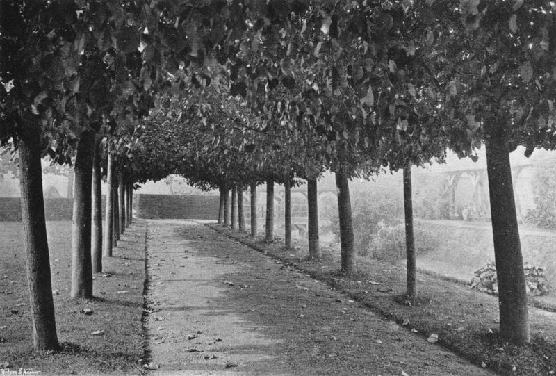 The Pleached Walk (b/w photo) بواسطة تشارلز لاثام