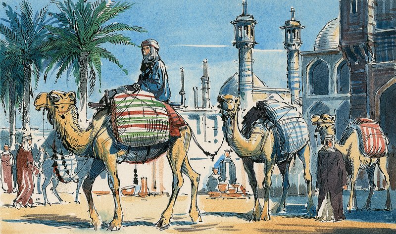  بواسطة دان اسكوت