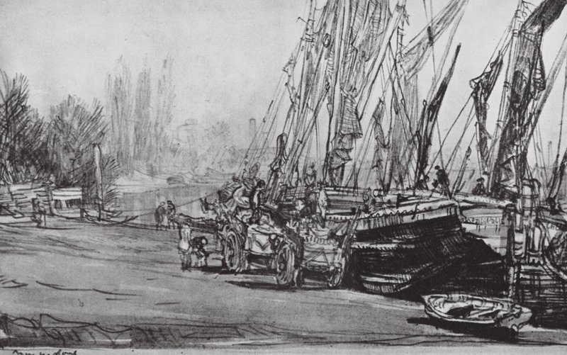  بواسطة ديفيد مويرهيد (بعد) العظام