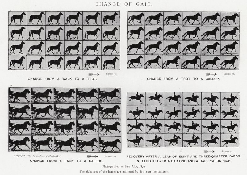 Eadweard Muybridge: تغيير المشية (b / w photo) بواسطة ايدويرد مويبريدج
