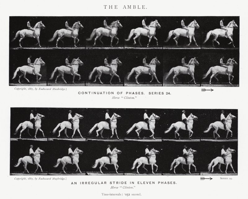 Eadweard Muybridge: The Amble (صورة بالأبيض والأسود) بواسطة ايدويرد مويبريدج