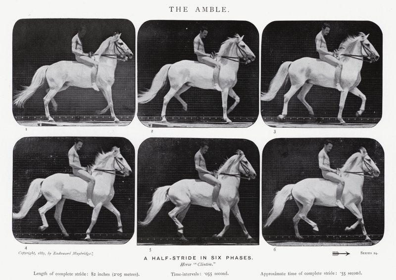 إيدويرد مويبريدج: The Amble بواسطة ايدويرد مويبريدج