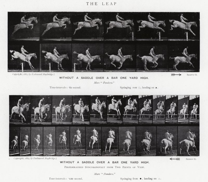 Eadweard Muybridge: The Leap (b/w photo) بواسطة ايدويرد مويبريدج