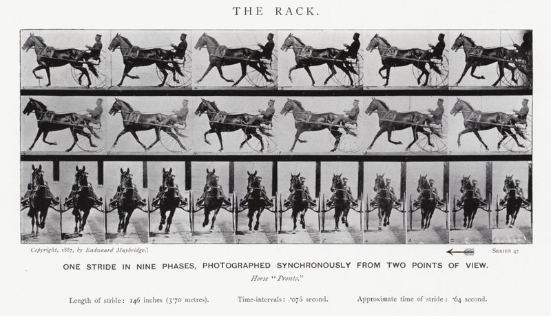 Eadweard Muybridge: The Rack (صورة b / w) بواسطة ايدويرد مويبريدج