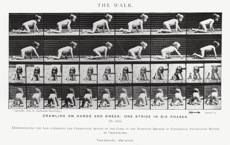 Eadweard Muybridge: The Walk (b/w photo) بواسطة ايدويرد مويبريدج