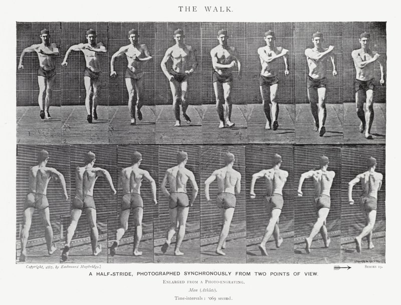 Eadweard Muybridge: The Walk (صورة b / w) بواسطة ايدويرد مويبريدج