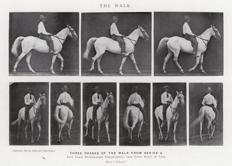 Eadweard Muybridge: The Walk (صورة b / w) بواسطة ايدويرد مويبريدج