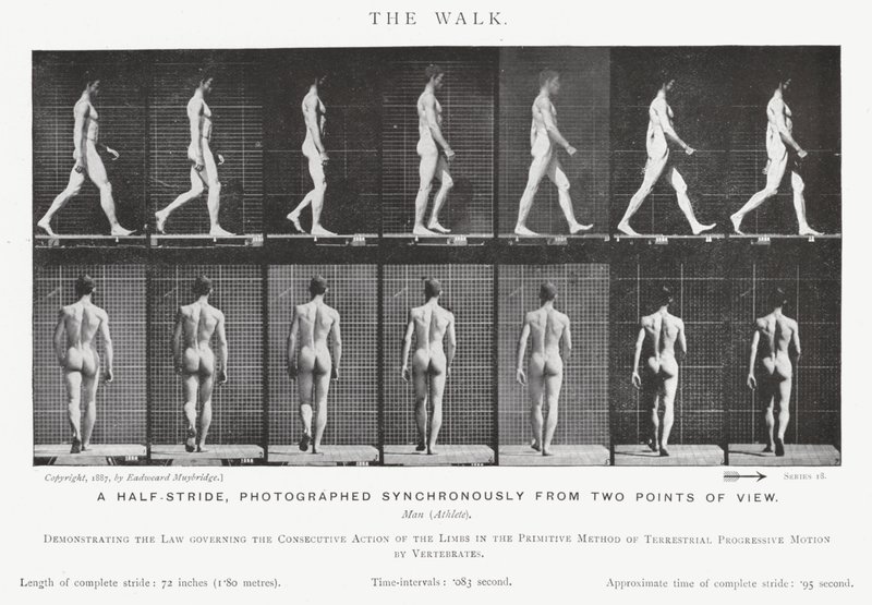 Eadweard Muybridge: The Walk (صورة b / w) بواسطة ايدويرد مويبريدج