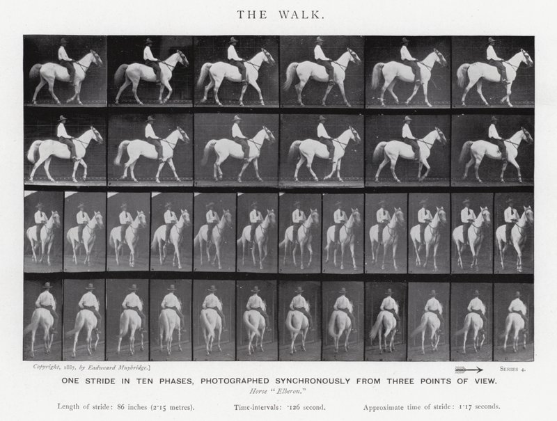Eadweard Muybridge: The Walk (صورة b / w) بواسطة ايدويرد مويبريدج